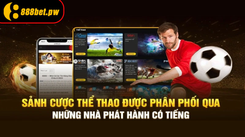 Các Sảnh Thể Thao Nổi Tiếng Tại Thể Thao 888B