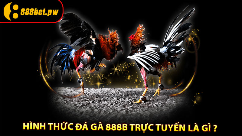Hình thức Đá Gà 888B trực tuyến là gì ?