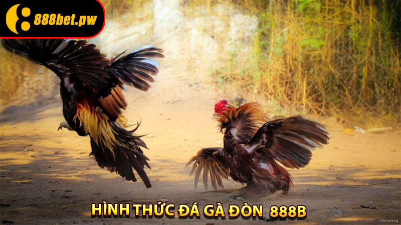 Hình thức Đá Gà Đòn 888B