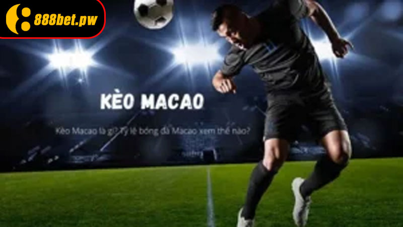 Tỷ lệ kèo Macao - Đánh Giá Chọn Lọc Đem Lại Cơ Hội Cho Anh Em